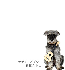 トロ(テディーズギター 看板犬)