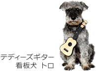 トロ(テディーズギター 看板犬)
